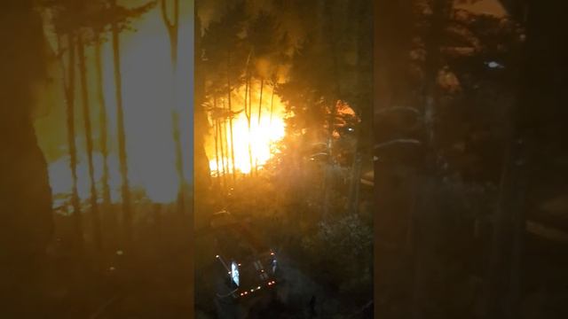 Пожар. Посёлок Александровка Подольский район Московская область смотреть онлайн
