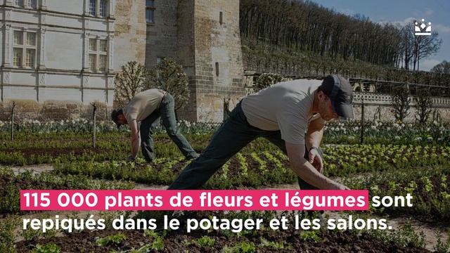 Les secrets des jardins de Villandry ? - My Loire Valley смотреть онлайн