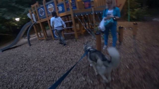 ПИРАТЫ И СЕРЫЙ ВОЛК