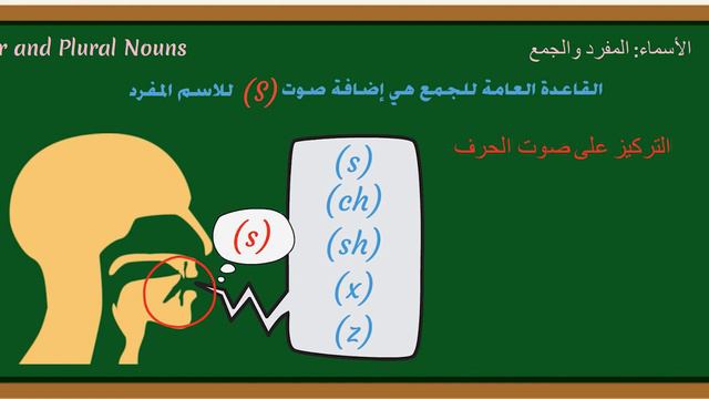 قواعد اللغة الانجليزية للمبتدئين || 03 إضافة s es ies للجمع في اللغة الانجليزية✔️ смотреть онлайн