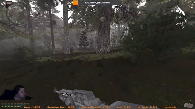 S.T.A.L.K.E.R Anomaly 1.5.2 + тайный Челлендж Серия 31 играем за Группировку ИИГ. (попытка 23) смотреть онлайн