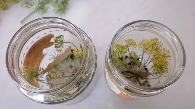 Вкусные рецепты с грибами