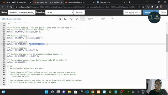 Fixing: Error Establishing Database Connection смотреть онлайн