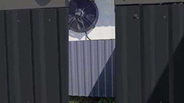 Шоковая камера С-200 б/у смотреть онлайн