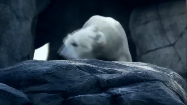 Сказочно красивая музыка!!! Лесная Фея БЕЗ ТЕБЯ Сергей Грищук смотреть онлайн