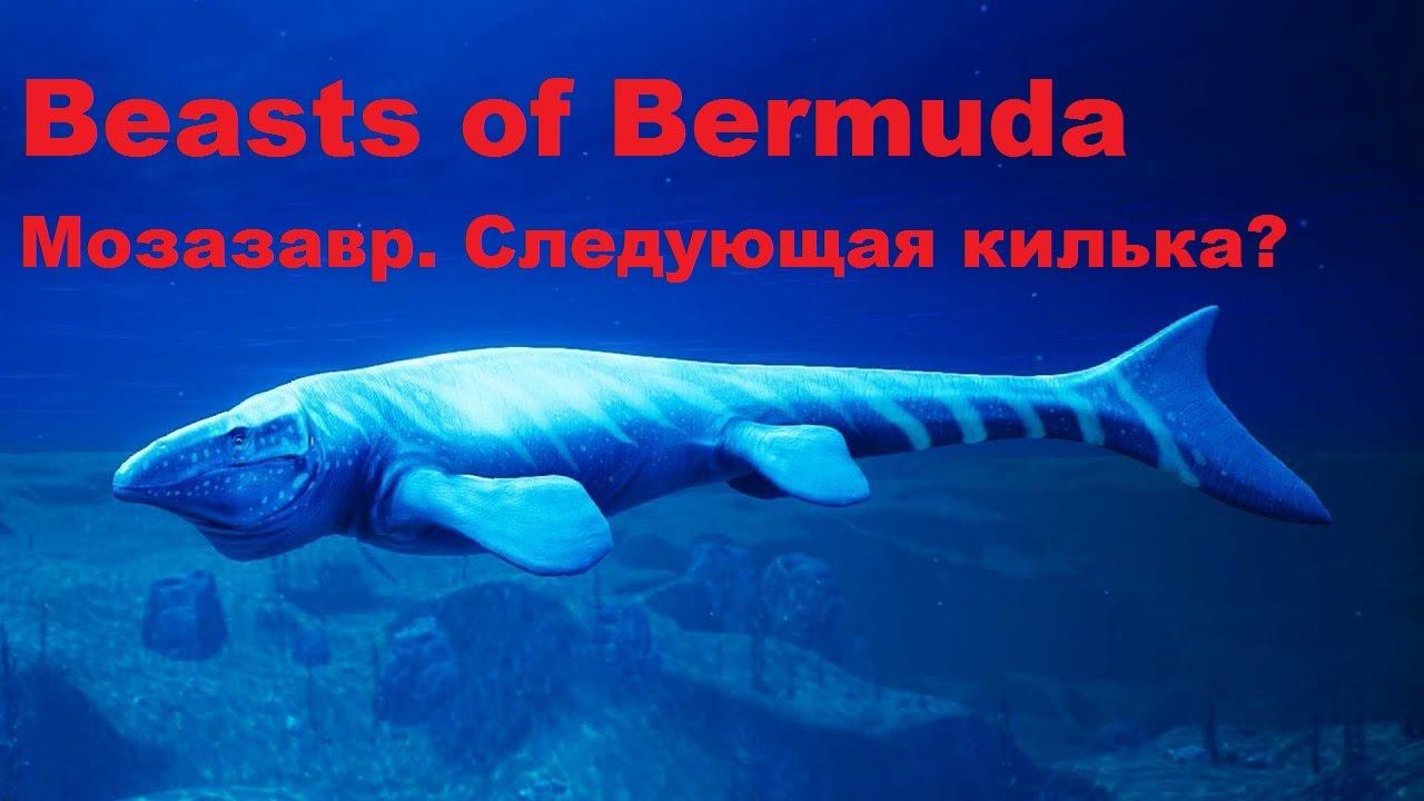 Beasts of Bermuda. Это че за килька?!