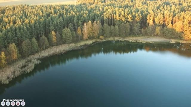 Музыка расслабляет нервную систему, улучшает память ?Сергея Чекалина музыка #1 смотреть онлайн