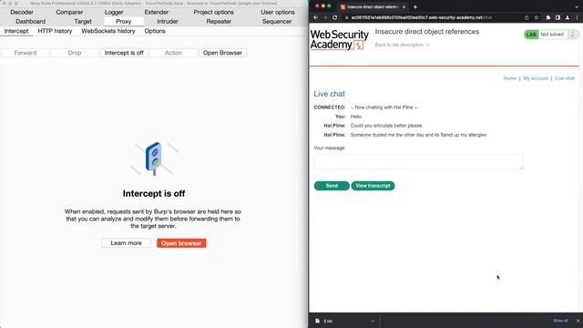 Exploit Insecure Direct Object References (IDOR) смотреть онлайн