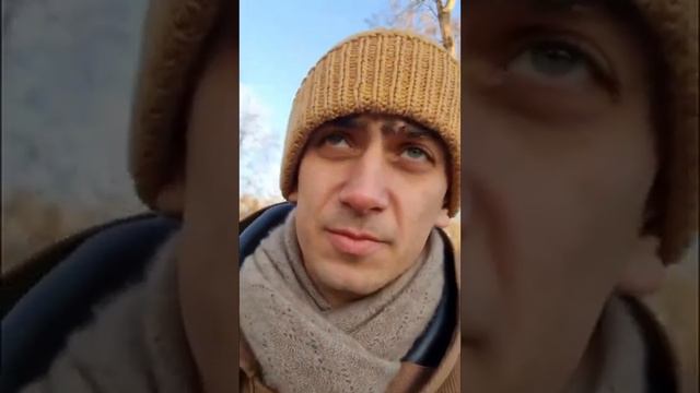 БРАТСКИЕ МОГИЛЫ смотреть онлайн