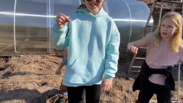 Дети поймали ящерицу. Весна 2022 г. На даче у бабушки и дедушки смотреть онлайн