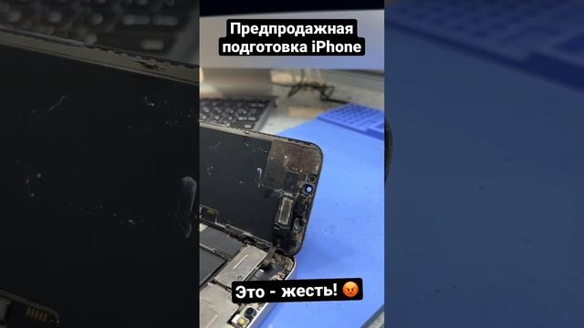 Вот так можно вляпаться купив б/у айфон на Авито! ? #apple #iphone смотреть онлайн