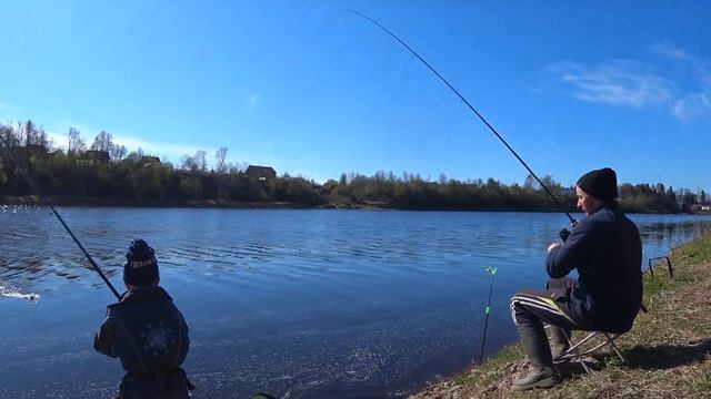 Весенний жор уклейки. Ловим густеру на фидер. Приплыл кабан. смотреть онлайн