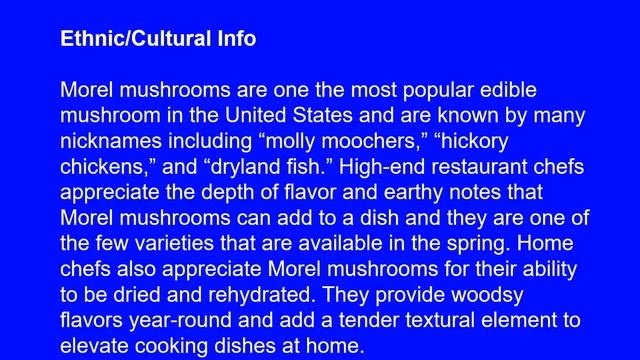 Morel - Prized edible Mushrooms that Fruit, Prolific throughout Appalachia & West Virginia смотреть онлайн