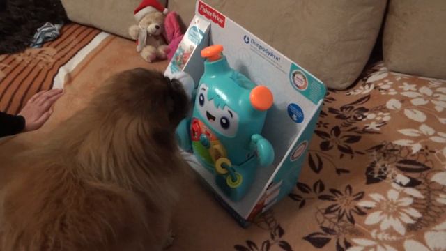 Пекинес Дендик и игрушка обучающий робот смотреть онлайн