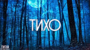 Страшные истории на ночь-Тихо