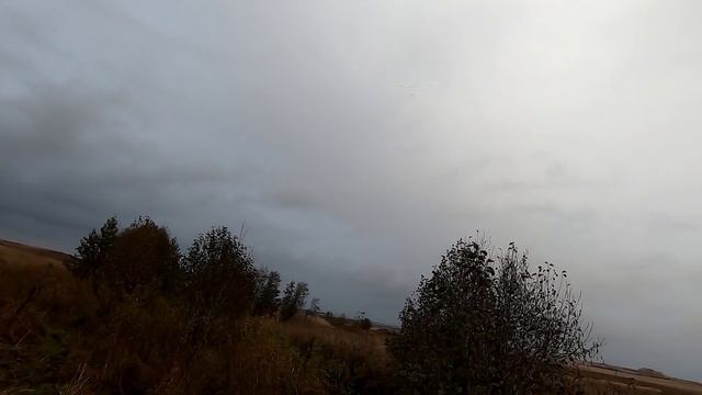 ОХОТА НА УТОК С ПОДХОДА! НАСТРЕЛЯЛИ ПЕРЕЛЁТНЫХ УТОК С ДЖЕССИ! Мр-155 в деле 2021 г. смотреть онлайн