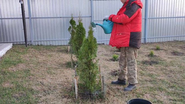 Подождевал туи, отремонтировал тачку и песочницу, раскидываю землю под газон Красивый пейзаж смотреть онлайн