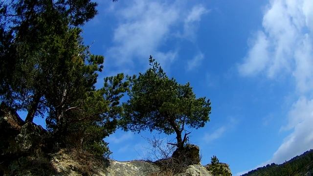 Боргустанский хребет. смотреть онлайн