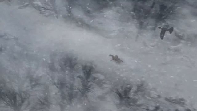 Where Angels Cry 2: Tears of the Fallen | Part 1 смотреть онлайн