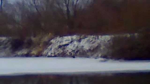 Видра. Дивовижне звірятко смотреть онлайн