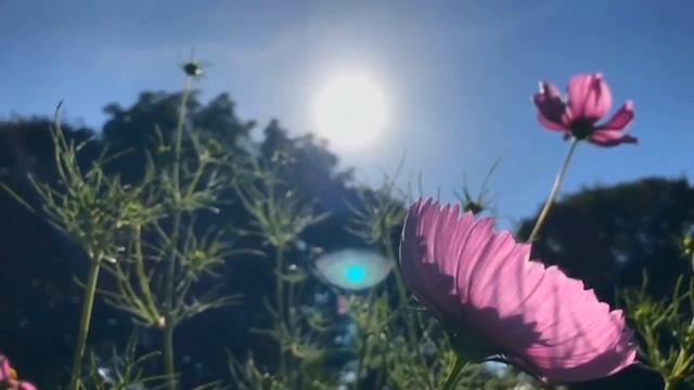 Учим Делать Умно