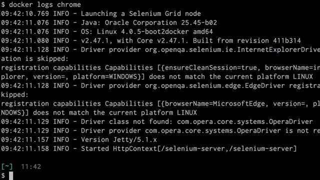 SeConf2015 Demo Selenium Grid Docker on local machine смотреть онлайн