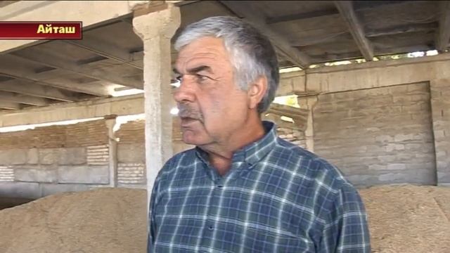 Уборка риса в МУП "им. А.Аджиева" завершается смотреть онлайн