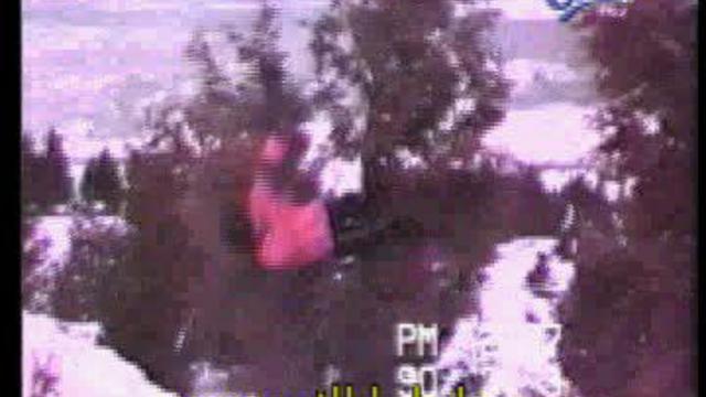 Ну прямо "ну погади" смотреть онлайн