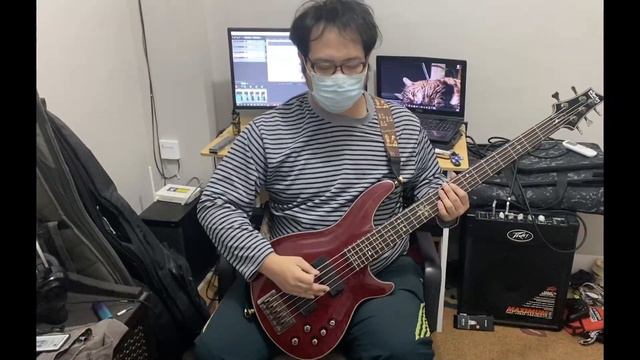 Voice of Tranquility | Wild Wild Wild! | Official Bass Playthrough смотреть онлайн