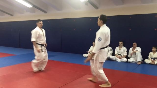 ВЫВЕДЕНИЕ ИЗ РАВНОВЕСИЯ в Кихон Вадза Томики Айкидо смотреть онлайн