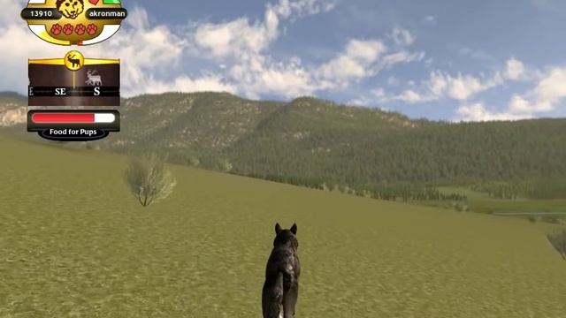 Играем в Wolf quest. часть 8. смотреть онлайн