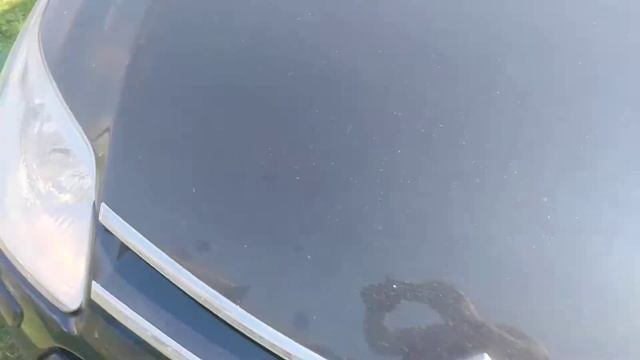 Работа омывателя фар Citroen C4 :((