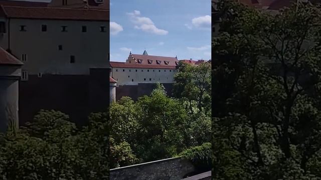 Вид на Собор Святого Вита в Праге. смотреть онлайн