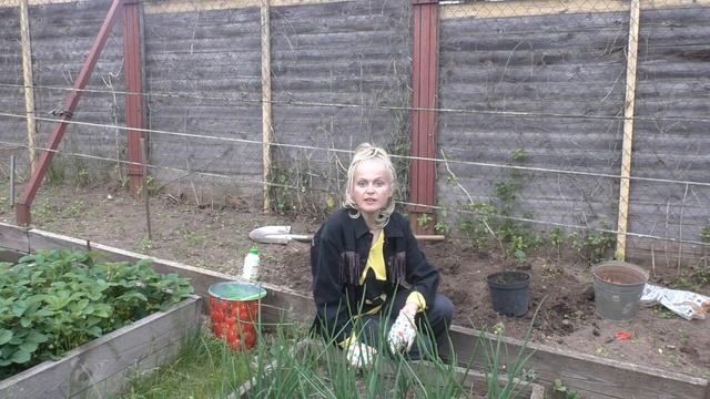 Как устроить виноградник на даче смотреть онлайн