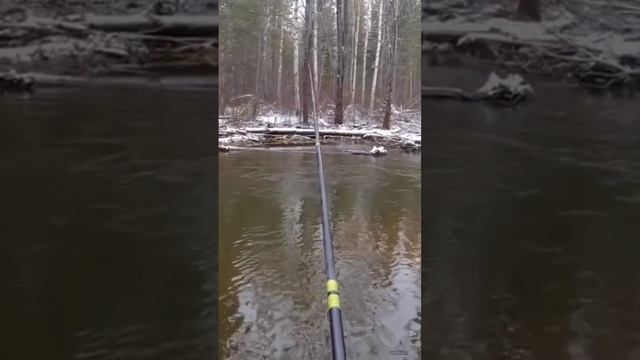 хариус осенью смотреть онлайн