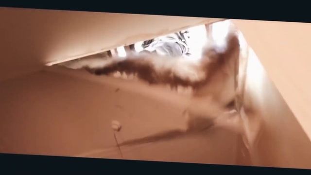 3 Способа получить теги в соулворкере. Soulworker гайд. Аниме мморпг игра соулворкер - теги. смотреть онлайн