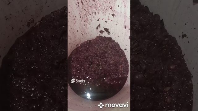 ВТОРИЧНОЕ ВИНО ИЗ МЕЗГИ. ОГОРОД НА КУБАНИ. shorts# смотреть онлайн