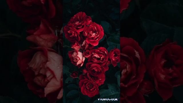 АЁЛЛИК ЭНЕРГИЯСИ НИМАЛАРГА КОДИР смотреть онлайн
