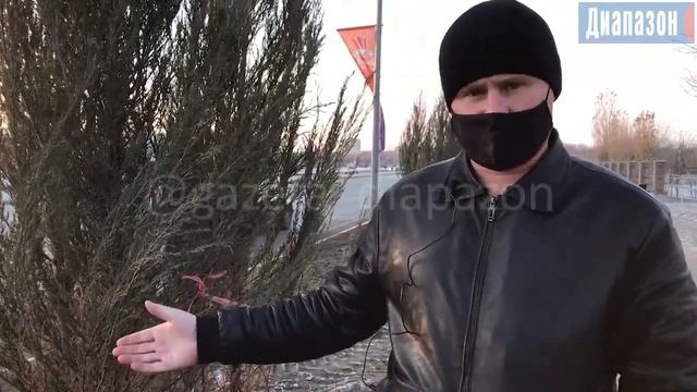 Сотню деревьев высадили вдоль дороги зимой смотреть онлайн