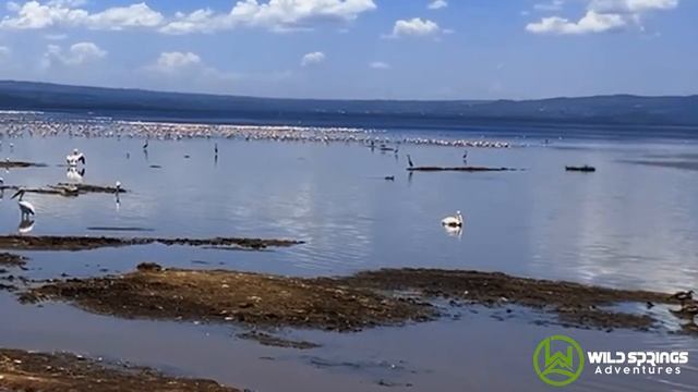 Adventure to Lake Nakuru National Park смотреть онлайн
