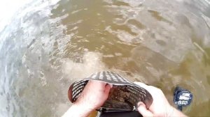 подводный коп золота на пляже или как оправдать деньги на металлоискатель