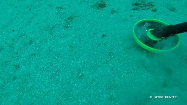 FL Scuba hunter diving and using custom Vibra Tector 730 смотреть онлайн