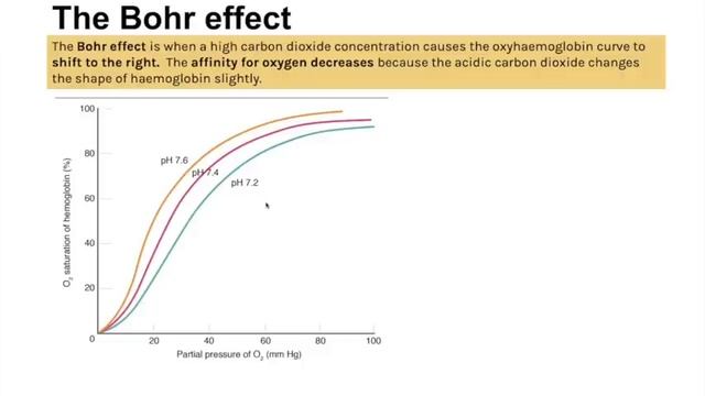 A level topic 3 - The ENTIRE topic. Learn or revise all of this topic in 1 hour! Get exam ready смотреть онлайн