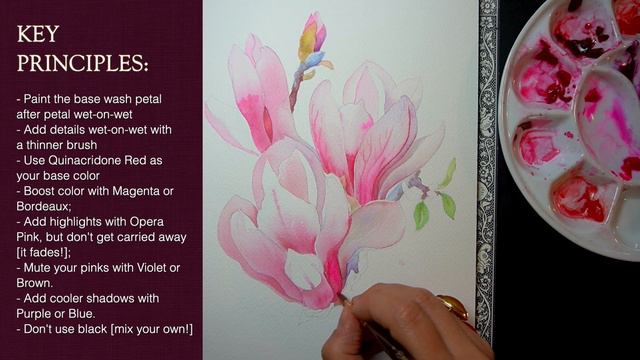 WATERCOLOR MAGNOLIA 🌸 How to Paint Magnolia Flower | Step-by-Step Demo | Materials Overview смотреть онлайн