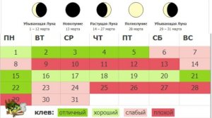 Лунный календарь рыболова на Март 2021 Прогноз клева Рыбалка в марте