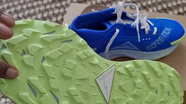 Nike Pegasus Trail 3 GORE-TEX | UNBOXING смотреть онлайн