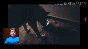 Сколько серы в 1 млн спичек? #Хейтер смотрит#