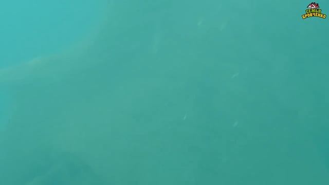 Дайв-центр Сирена в Адлере. Погружение Бори, Ани и Паши. (06.18г.) Семья Бровченко. смотреть онлайн