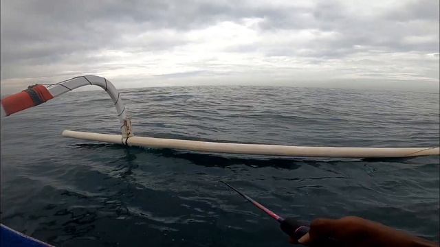 WARNA UMPAN MERAH DAN ORANGE MENJADI FAVORIT IKAN KETIKA MUSIM CUMI-CUMI !!