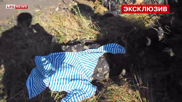 В сражении под Луганском убиты 100 бойцов батальона 'Айдар' смотреть онлайн